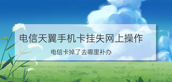 电信天翼手机卡挂失网上操作 电信卡掉了去哪里补办？